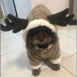 Чистая красная щенка собаки осень и зимняя глубокая одежда Тедди четыре квадрата превратились в одежду для домашних животных с собаками