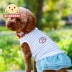 Teddy váy chó quần áo hơn Xiong Bomei quần áo thú cưng sọc lưới công chúa váy quần áo mùa hè - Quần áo & phụ kiện thú cưng áo chó mèo Quần áo & phụ kiện thú cưng
