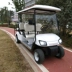 Aosen bốn bánh ắc quy xe điện Xe điện tham quan xe golf tour xe buýt 6 tuần tra - Xe đạp điện Xe đạp điện