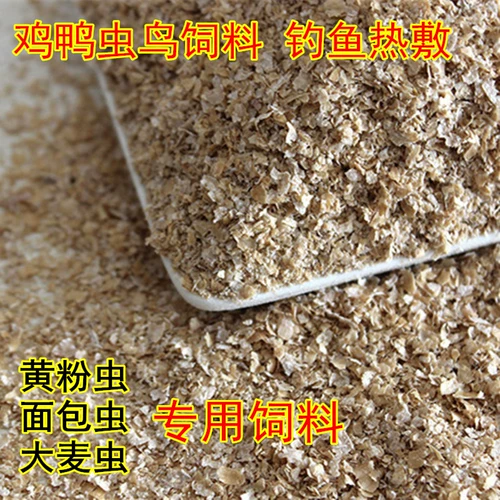 Пшеничные отруби, пшеничная пшеница грубая отруби тонкая пшеничная отруби свежее отруби порошок для порошкообразной рыбалки кормить пшеничные отруби