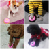 Cat dog huấn luyện viên pet dấu chân vòng chuông Teddy con chó được gọi là bữa ăn chuông chuông dog đồ chơi giáo dục đồ chơi cho mèo cắn Mèo / Chó Đồ chơi