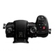 Panasonic Panasonic DC-GH5S vi máy ảnh kỹ thuật số duy nhất 4k 50p 60p GH5S vi phim SLR cấp độ nhập cảnh