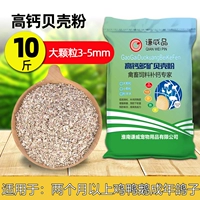 10 кот из порошка оболочки (большие частицы)