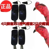 Куриные боевые борьбы поставляют куриный корпус защитный защитный куриный борьба с курицей тренировочные продукты борьба с курицей куриные продукты конкуренция курицы продукты.