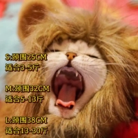 Львенок