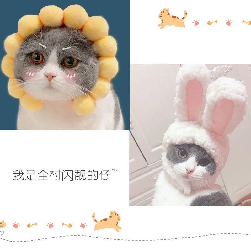 Waterproof hat, rabbit for bath, pet