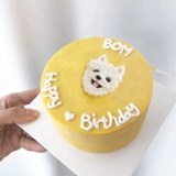 ПЭТ торт аватар индивидуальная ручная работа.