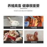 Медицина для лекарства от курицы дыхательная медицина и лекарства от птицы, подушки безопасности, ринит, птица, кашель, мокрота, лекарство из свинины, инфекция хламидиоза