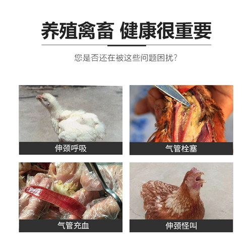 Медицина для лекарства от курицы дыхательная медицина и лекарства от птицы, подушки безопасности, ринит, птица, кашель, мокрота, лекарство из свинины, инфекция хламидиоза