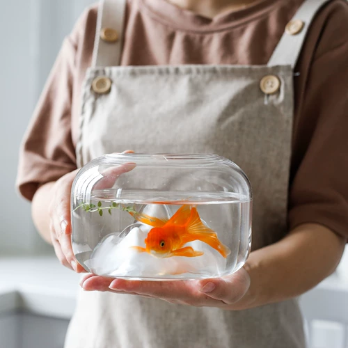 Светильник, японский аквариум ручной работы, стеклянная настольная лампа, ночник, подарок на день рождения