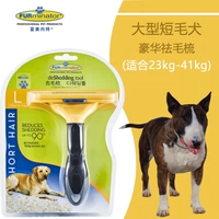 L-Short Hairy Bare Dog