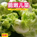 Семена Семюан Линьцзян Семена Кукла Овощные семена семян.