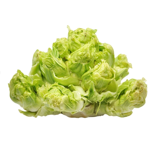 Семена Семюан Линьцзян Семена Кукла Овощные семена семян.