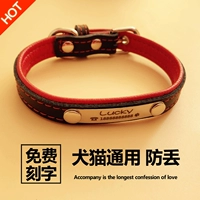 Красный воротник (предпочтительное распределение)