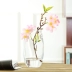 [Đặc biệt hàng ngày] bình thủy tinh nhỏ treo chai thực vật sáng tạo hình vuông thủy canh bình treo chậu lan - Vase / Bồn hoa & Kệ