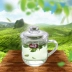 Màu xanh lá cây hộ gia đình táo cốc thủy tinh dày chịu nhiệt vành đai trong suốt cốc nước có nắp đậy tách trà chén trà hoa cốc văn phòng