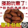Товары от 东北小伙0o