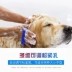 Bobo dog tắm bàn chải găng tay bàn chải massage pet palm loại tắm bàn chải mèo vẻ đẹp sạch nguồn cung cấp