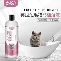 Британская короткая голубая кошка специальная гель для душа жидкости становится молодыми домашними животными.