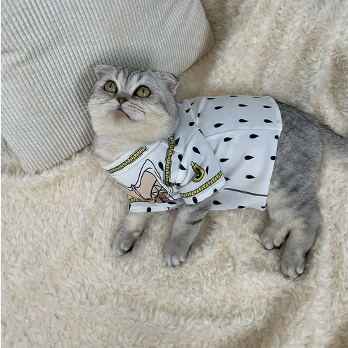 Домашняя одежда Бруно Бугала Jojo замечательное приключение Cat T -Fry щенка