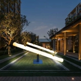 Дорожные качели для парков развлечений, популярно в интернете