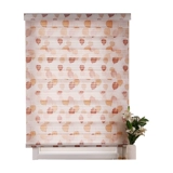 Гвоздь -безмолвная занавеска с утолщенной роликовой завесой двойной слой