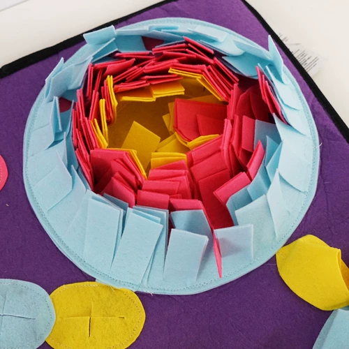 Собачья пахла подушечки PET Большой собака маленькая собака маленький запах обоняние пахнет одеяло тренировочные игрушки игрушки.