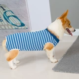 Одежда собак плюшевая осень и зимние животные, Корчи, маленькая большая собака Шиба Ину Золотой ретривер барон щенка четыре фута