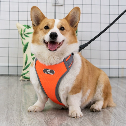 Подтяжки, милая майка топ для выхода на улицу, взрывобезопасный чокер