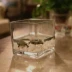 Bình thủy canh bình thủy tinh hình chữ nhật bể cá Guanyin bình thủy tinh chai vuông - Vase / Bồn hoa & Kệ