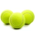 Chó nhỏ và vừa đồ chơi chó đồ chơi mèo lớn chó Golden Retriever huấn luyện chó chơi Tennis Bell ball 1 ngẫu nhiên bóng đồ chơi cho mèo Mèo / Chó Đồ chơi