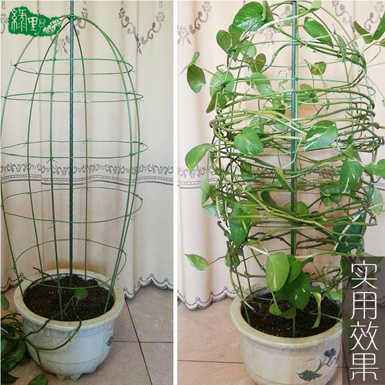 盆栽爬藤植物花卉造型diy花架材料 包塑铁丝园艺铁线莲花支架支柱 中国仕入れ Com