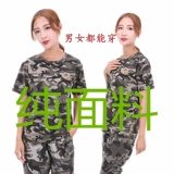 Студент чистый хлопок тонкий короткий короткий