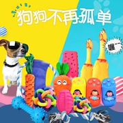 Pet puppy dog ​​toy ball vocal mol cắn đào tạo phương pháp Teddy chó con mèo đồ chơi vật nuôi - Mèo / Chó Đồ chơi