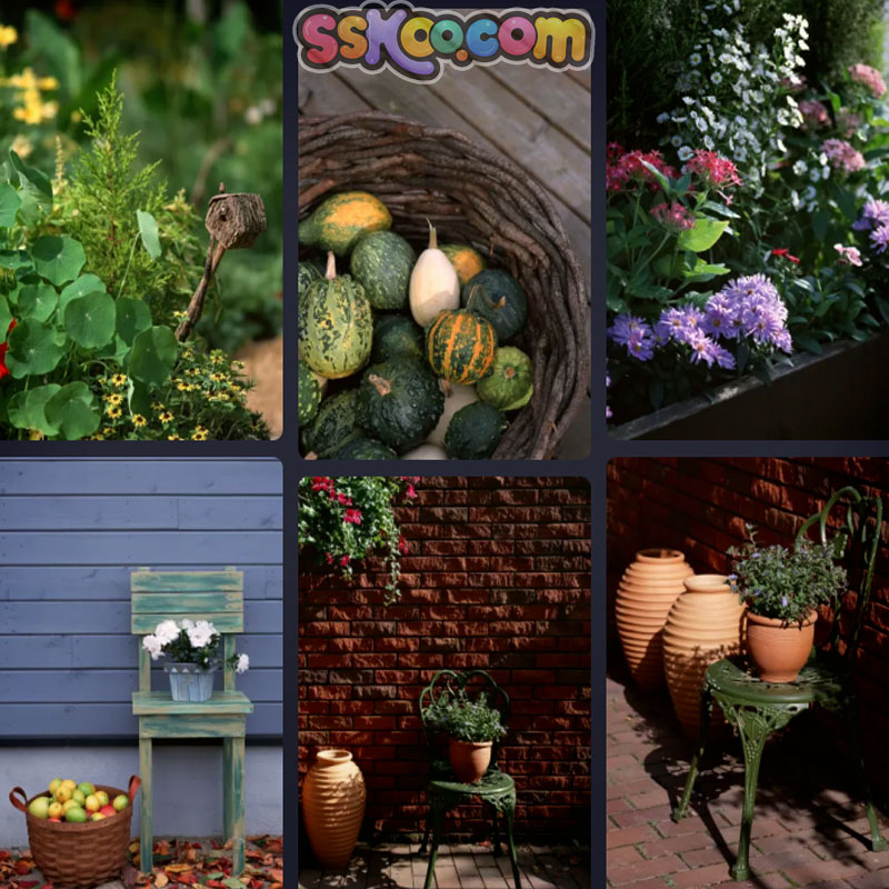 花园盆栽美居场景插图照片风景壁纸高清4K摄影图片设计背景素材