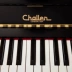 Giai điệu siêu ấm! Đàn piano nổi tiếng thế giới Anh Charlene nhập khẩu đàn piano dành cho người lớn dương cầm