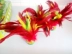 Bọ cạp gà lông ngỗng hoa lớn phù hợp với bọ cạp kháng bóng 键 牛 牛 牛 dưới cùng - Các môn thể thao cầu lông / Diabolo / dân gian