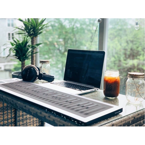 Audio Circle предпочтительно Roli Seaboard Rise 25 49 Аранжированная MIDI -клавиатура Электронная музыка 5 -мерная