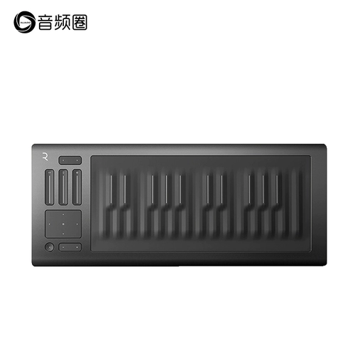 Audio Circle предпочтительно Roli Seaboard Rise 25 49 Аранжированная MIDI -клавиатура Электронная музыка 5 -мерная