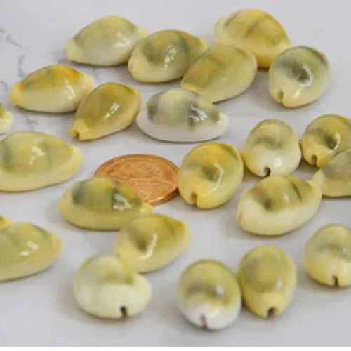 DIY Ocean Bottle Materials Natural Little Shell Shell Shell