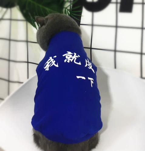 Оригинальный прилив бренд PET Thin Cat Одежда, собака -родительская патальника для домашних животных, кошачья одежда, китайские иероглифы, я просто кожа