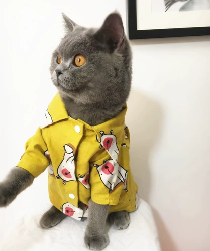 Прилидная эксклюзивная одежда для кошек, рубашки для собак, тропическая весенняя осень Уокисан Винд -Бич Рубашки Цветочки, Кошачья одежда