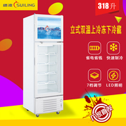 tủ đông mini Sui Ling LT4-318 Tủ đông Thương mại Tủ lạnh dọc Tủ lạnh Tủ lạnh đôi Nhiệt độ Hiển thị Tủ Đồ uống Tủ bảo quản - Tủ đông tủ đông cửa trước