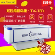 Sui Ling WD4-750 thương mại tủ đông đảo lớn tủ lạnh đơn nhiệt độ lớn tủ đông siêu thị hiển thị hải sản - Tủ đông