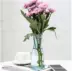 Màu xanh Bắc Âu sáng tạo cứu trợ bình thủy tinh phòng khách khách sạn mềm mại trang trí đám cưới bình bình chậu ghép trồng rau Vase / Bồn hoa & Kệ