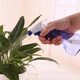 Tưới nước bằng tay có thể tưới 250ml nước tưới hoa dụng cụ cắm hoa tưới nhỏ có thể tưới chậu làm vườn cung cấp bình xịt nước Nguồn cung cấp vườn