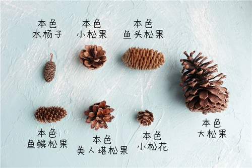 Zakka 澶 澶 澶 ╃ 劧 劧 庡  鏋滃 瓙鏉 鏋滃 灉鏉 灉鏉  忔 忔 鑺 濋 濋 ㈠ 湥 湥 炴灉 愭 镦 ч ч 鍏 鍏 鍏