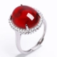 H -стиль Red Bloodpo