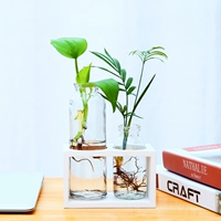 2 бутылки белой краски [растения в подарочной фигуре]