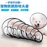 Крутой бобовый питомец